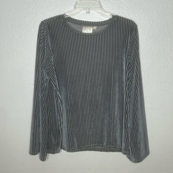 Dantelle Tops - Dantelle Gray Crushed Velvet Striped Long Sleeve Top